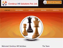 Tablet Screenshot of cerebrushrsolutions.com
